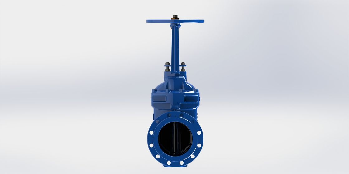 DN50 - DN300 Rising Stem Gate Valve For Drinking Water Processing Plant